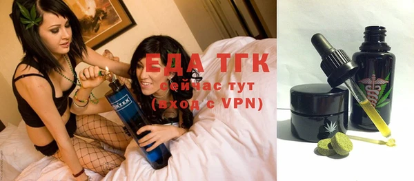 хмурый Бородино