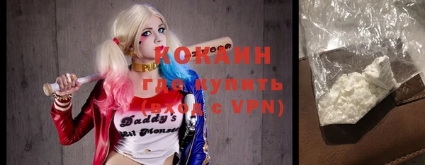 хмурый Бородино