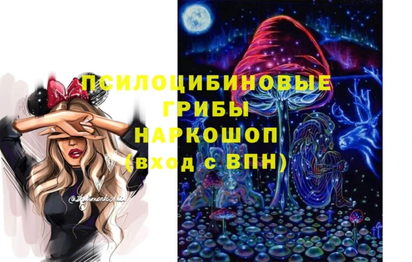 гидра Бронницы