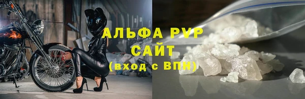 хмурый Бородино