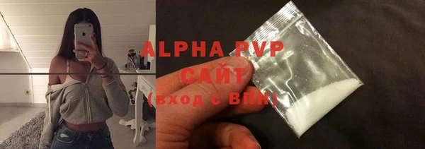 хмурый Бородино