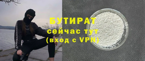 хмурый Бородино