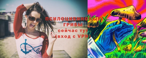 гидра Бронницы