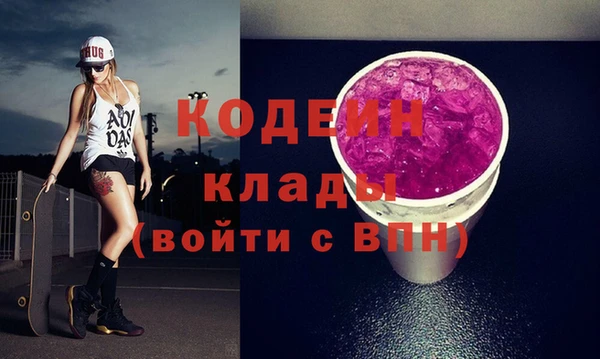 хмурый Бородино